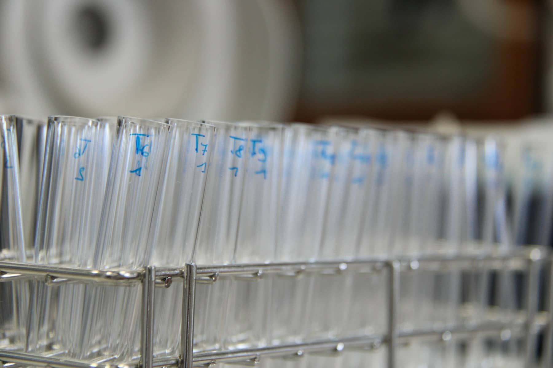 Tubos de ensaio organizados em suporte de laboratório.